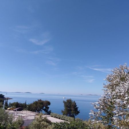 Amazing Villa Galeb In Murter Ruang foto