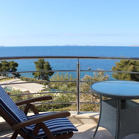 Amazing Villa Galeb In Murter Ruang foto
