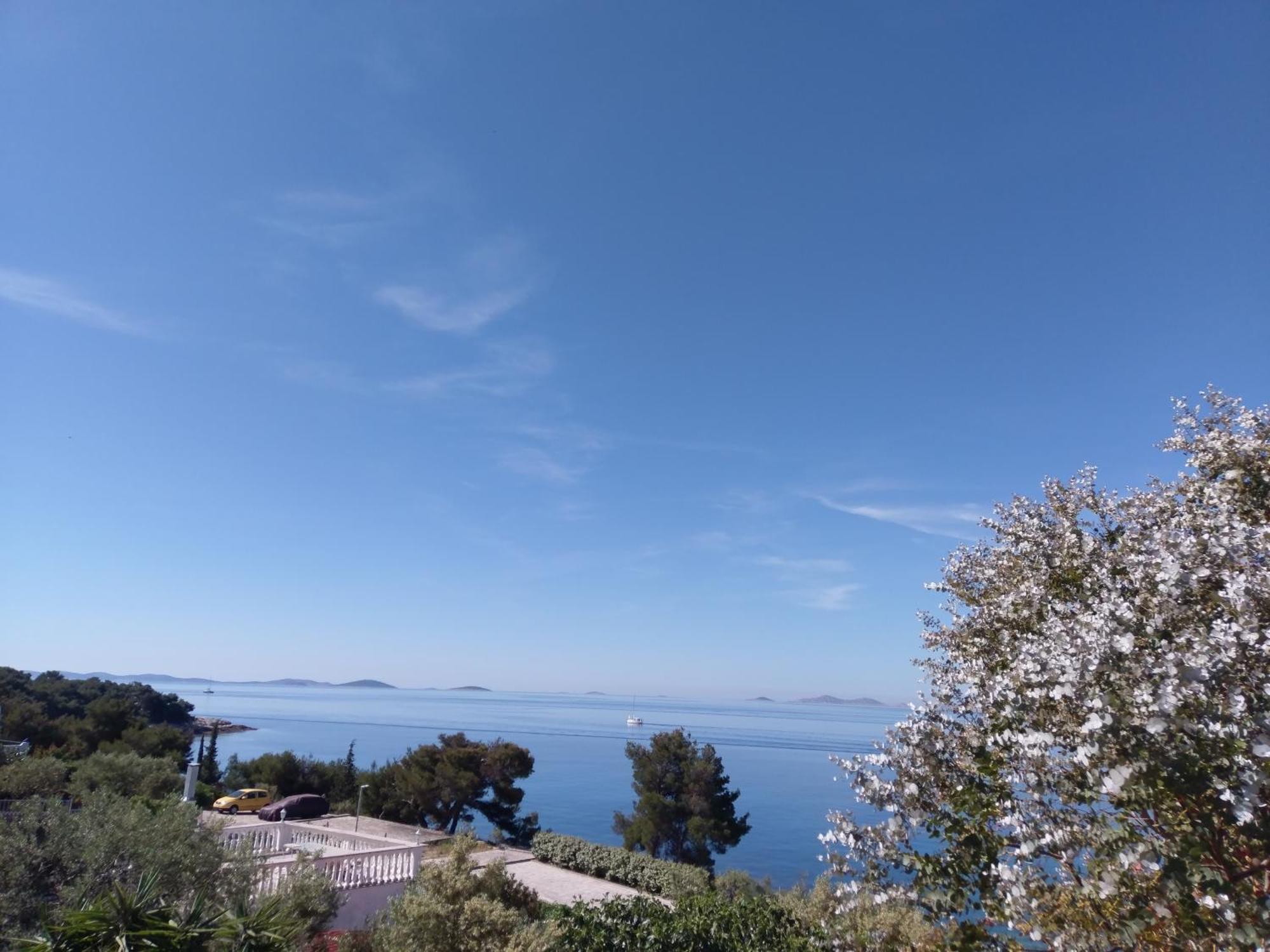 Amazing Villa Galeb In Murter Ruang foto